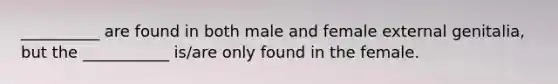 __________ are found in both male and female external genitalia, but the ___________ is/are only found in the female.