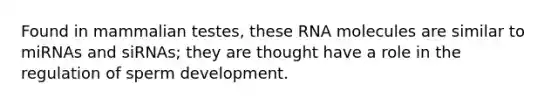 Found in mammalian testes, these RNA molecules are similar to miRNAs and siRNAs; they are thought have a role in the regulation of sperm development.