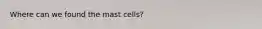 Where can we found the mast cells?