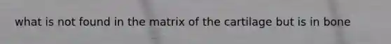 what is not found in the matrix of the cartilage but is in bone