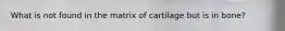 What is not found in the matrix of cartilage but is in bone?