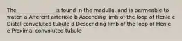 The ______________ is found in the medulla, and is permeable to water. a Afferent arteriole b Ascending limb of the loop of Henle c Distal convoluted tubule d Descending limb of the loop of Henle e Proximal convoluted tubule