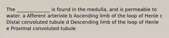 The ______________ is found in the medulla, and is permeable to water. a Afferent arteriole b Ascending limb of the loop of Henle c Distal convoluted tubule d Descending limb of the loop of Henle e Proximal convoluted tubule