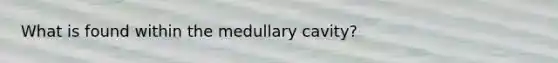 What is found within the medullary cavity?