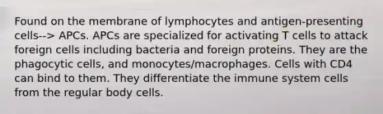 Found on the membrane of lymphocytes and antigen-presenting cells--> APCs. APCs are specialized for activating T cells to attack foreign cells including bacteria and foreign proteins. They are the phagocytic cells, and monocytes/macrophages. Cells with CD4 can bind to them. They differentiate the immune system cells from the regular body cells.