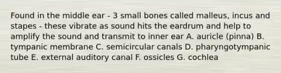 Found in the middle ear - 3 small bones called malleus, incus and stapes - these vibrate as sound hits the eardrum and help to amplify the sound and transmit to inner ear A. auricle (pinna) B. tympanic membrane C. semicircular canals D. pharyngotympanic tube E. external auditory canal F. ossicles G. cochlea