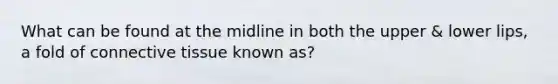 What can be found at the midline in both the upper & lower lips, a fold of connective tissue known as?