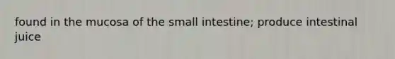 found in the mucosa of the small intestine; produce intestinal juice