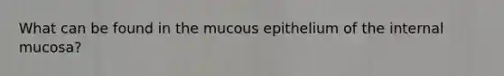 What can be found in the mucous epithelium of the internal mucosa?