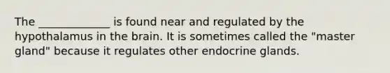 The _____________ is found near and regulated by the hypothalamus in the brain. It is sometimes called the "master gland" because it regulates other endocrine glands.