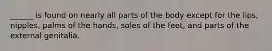 ______ is found on nearly all parts of the body except for the lips, nipples, palms of the hands, soles of the feet, and parts of the external genitalia.