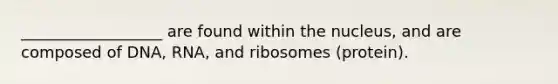 __________________ are found within the nucleus, and are composed of DNA, RNA, and ribosomes (protein).