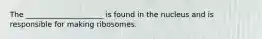 The _____________________ is found in the nucleus and is responsible for making ribosomes.