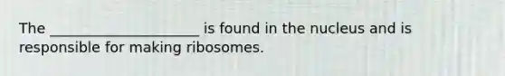 The _____________________ is found in the nucleus and is responsible for making ribosomes.