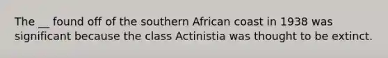 The __ found off of the southern African coast in 1938 was significant because the class Actinistia was thought to be extinct.