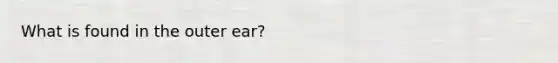 What is found in the outer ear?