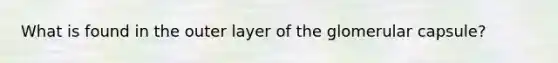 What is found in the outer layer of the glomerular capsule?