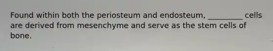 Found within both the periosteum and endosteum, _________ cells are derived from mesenchyme and serve as the stem cells of bone.