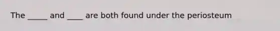 The _____ and ____ are both found under the periosteum