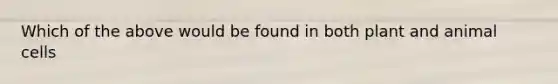 Which of the above would be found in both plant and animal cells