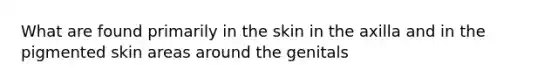 What are found primarily in the skin in the axilla and in the pigmented skin areas around the genitals