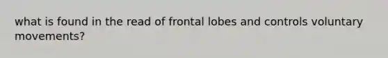 what is found in the read of frontal lobes and controls voluntary movements?