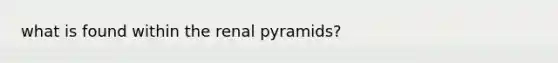 what is found within the renal pyramids?