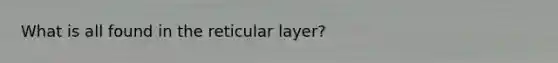 What is all found in the reticular layer?