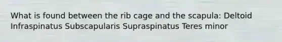 What is found between the rib cage and the scapula: Deltoid Infraspinatus Subscapularis Supraspinatus Teres minor