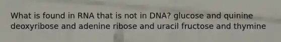 What is found in RNA that is not in DNA? glucose and quinine deoxyribose and adenine ribose and uracil fructose and thymine