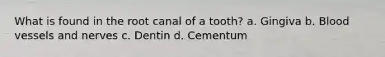 What is found in the root canal of a tooth? a. Gingiva b. Blood vessels and nerves c. Dentin d. Cementum