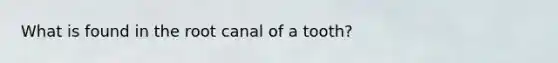 What is found in the root canal of a tooth?