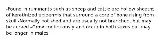 -Found in ruminants such as sheep and cattle are hollow sheaths of keratinized epidermis that surround a core of bone rising from skull -Normally not shed and are usually not branched, but may be curved -Grow continuously and occur in both sexes but may be longer in males