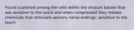 Found scattered among the cells within the stratum basale that are sensitive to the touch and when compressed they release chemicals that stimulate sensory nerve endings; sensitive to the touch