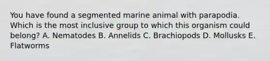 You have found a segmented marine animal with parapodia. Which is the most inclusive group to which this organism could belong? A. Nematodes B. Annelids C. Brachiopods D. Mollusks E. Flatworms