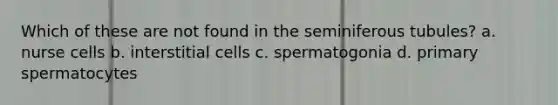 Which of these are not found in the seminiferous tubules? a. nurse cells b. interstitial cells c. spermatogonia d. primary spermatocytes