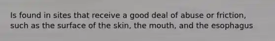 Is found in sites that receive a good deal of abuse or friction, such as the surface of the skin, the mouth, and the esophagus