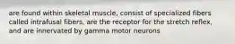 are found within skeletal muscle, consist of specialized fibers called intrafusal fibers, are the receptor for the stretch reflex, and are innervated by gamma motor neurons