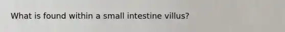 What is found within a small intestine villus?