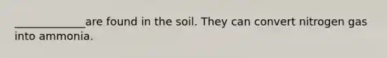 _____________are found in the soil. They can convert nitrogen gas into ammonia.