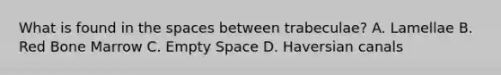 What is found in the spaces between trabeculae? A. Lamellae B. Red Bone Marrow C. Empty Space D. Haversian canals