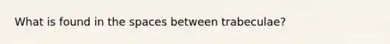 What is found in the spaces between trabeculae?