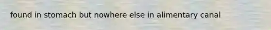 found in stomach but nowhere else in alimentary canal