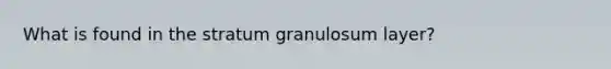 What is found in the stratum granulosum layer?