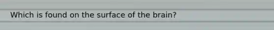 Which is found on the surface of the brain?