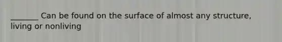 _______ Can be found on the surface of almost any structure, living or nonliving