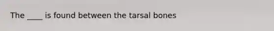 The ____ is found between the tarsal bones