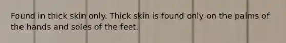 Found in thick skin only. Thick skin is found only on the palms of the hands and soles of the feet.