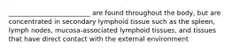 _________________________ are found throughout the body, but are concentrated in secondary lymphoid tissue such as the spleen, lymph nodes, mucosa-associated lymphoid tissues, and tissues that have direct contact with the external environment