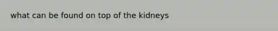 what can be found on top of the kidneys